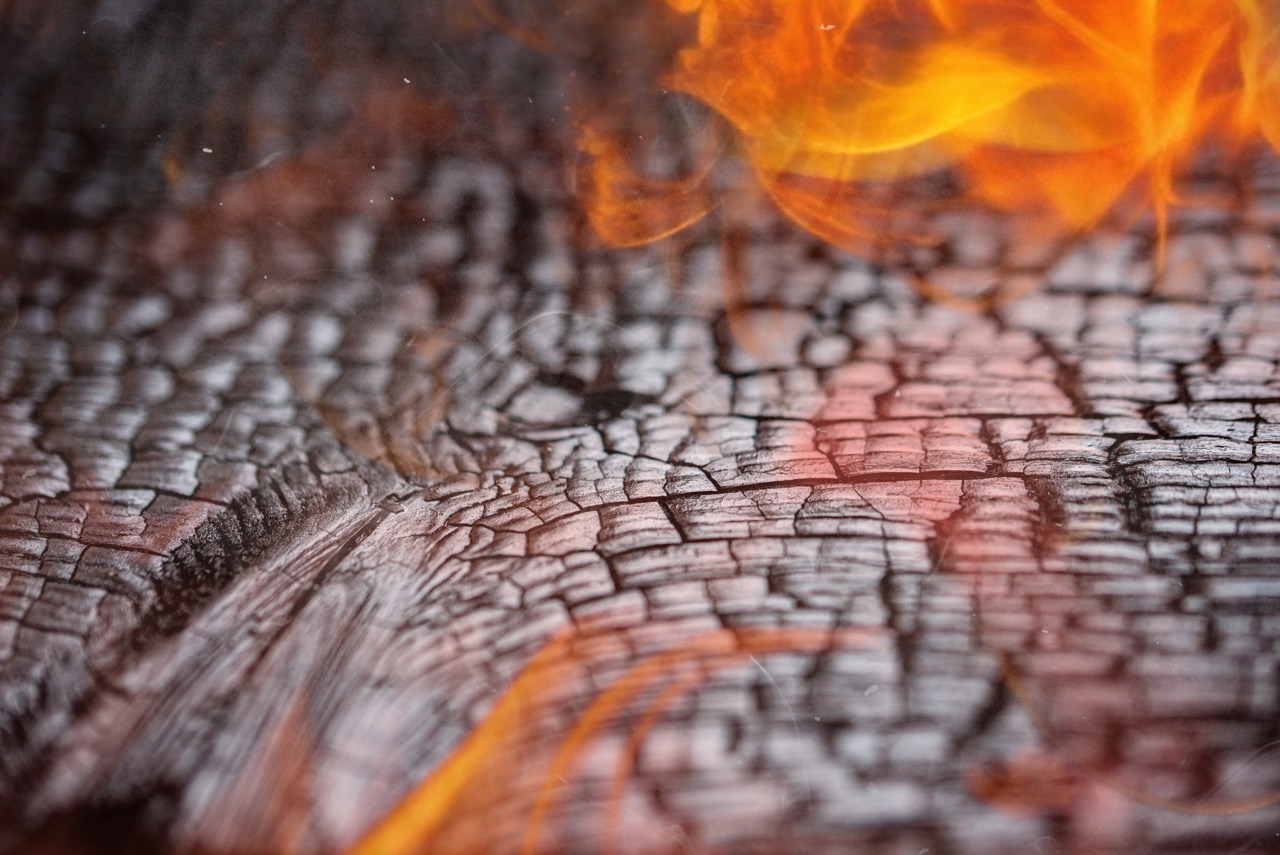 Holzschutz durch Feuer und Ökologie